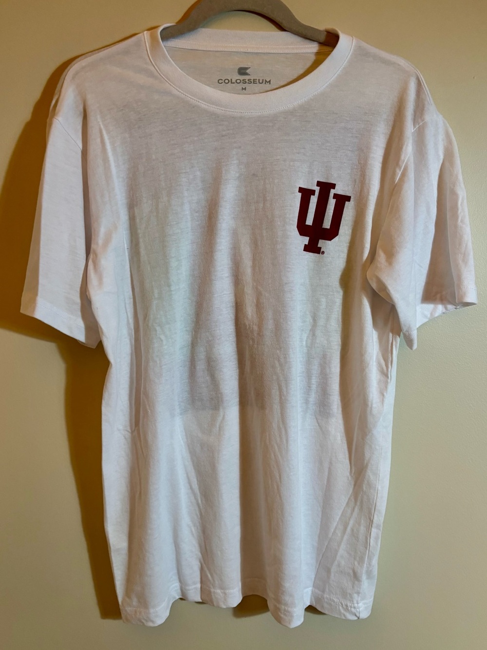 Hollister White Indiana University Hoosiers Football Graphic Crewneck T-Shirt
